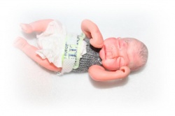 Miniatur-Reborn-Puppen-Baby-9cm