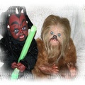 Chewbacca5921792179217