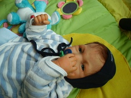 Maximilian 18120512051205