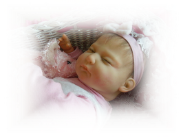 Doreen 8173217321732