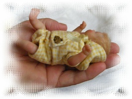Handvoll Baby 20293129302930
