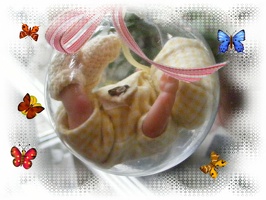 Handvoll Baby 9295029502950
