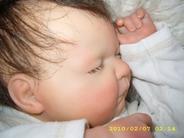 Tommy 29424142414241