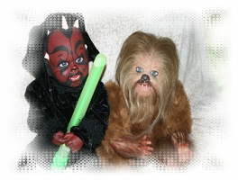 Chewbacca5921792179217