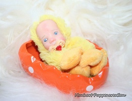 Miniatur-Reborn-Baby-Kueken