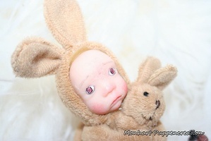 MiniHase10389389389